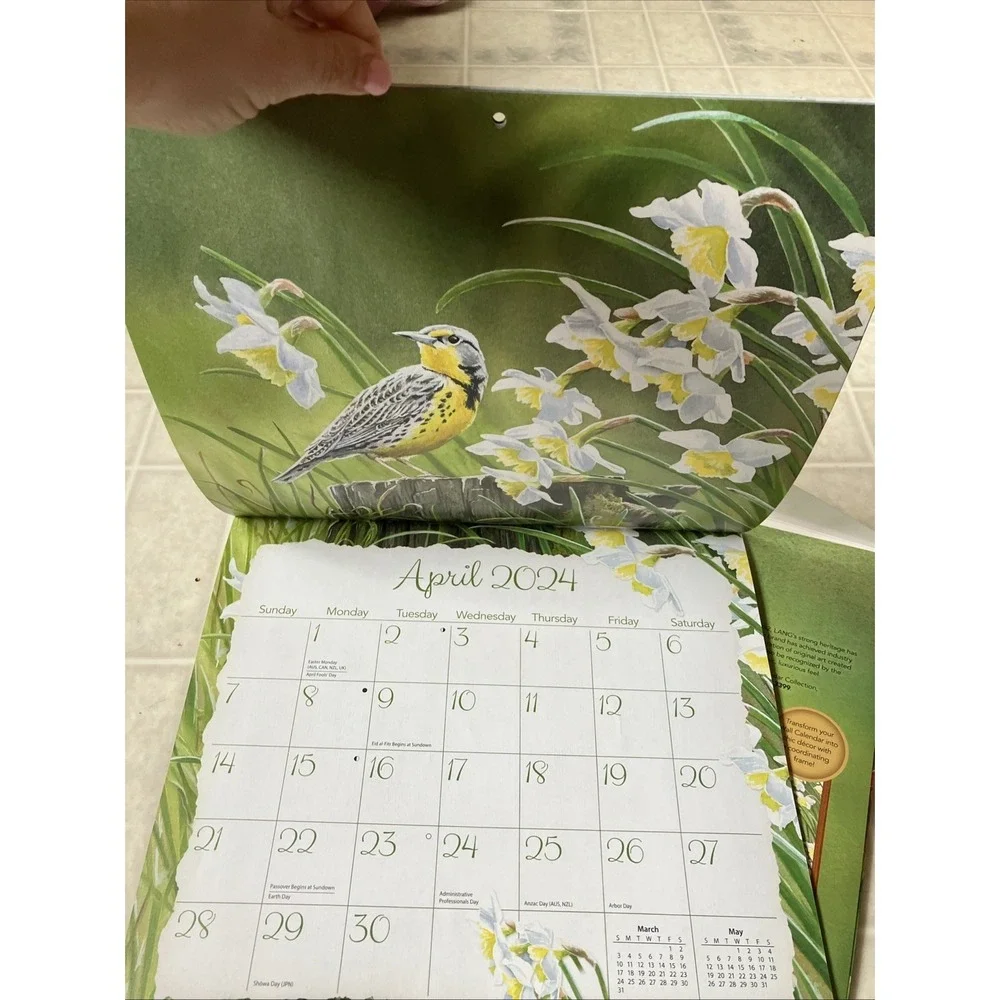 Songbirds 2023 Wall Calendar Artwork By Susan Bourdet New in protective sleeve